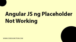 Angular JS